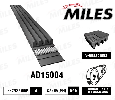 V-Ribbed Belt