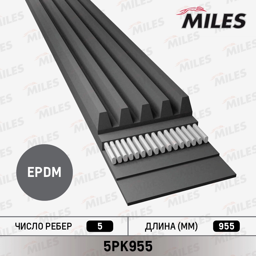 V-Ribbed Belt