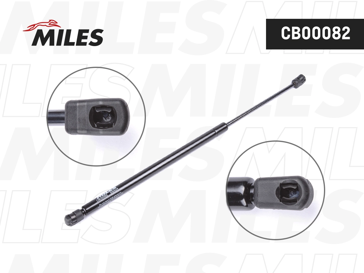 Gas Spring, boot/cargo area