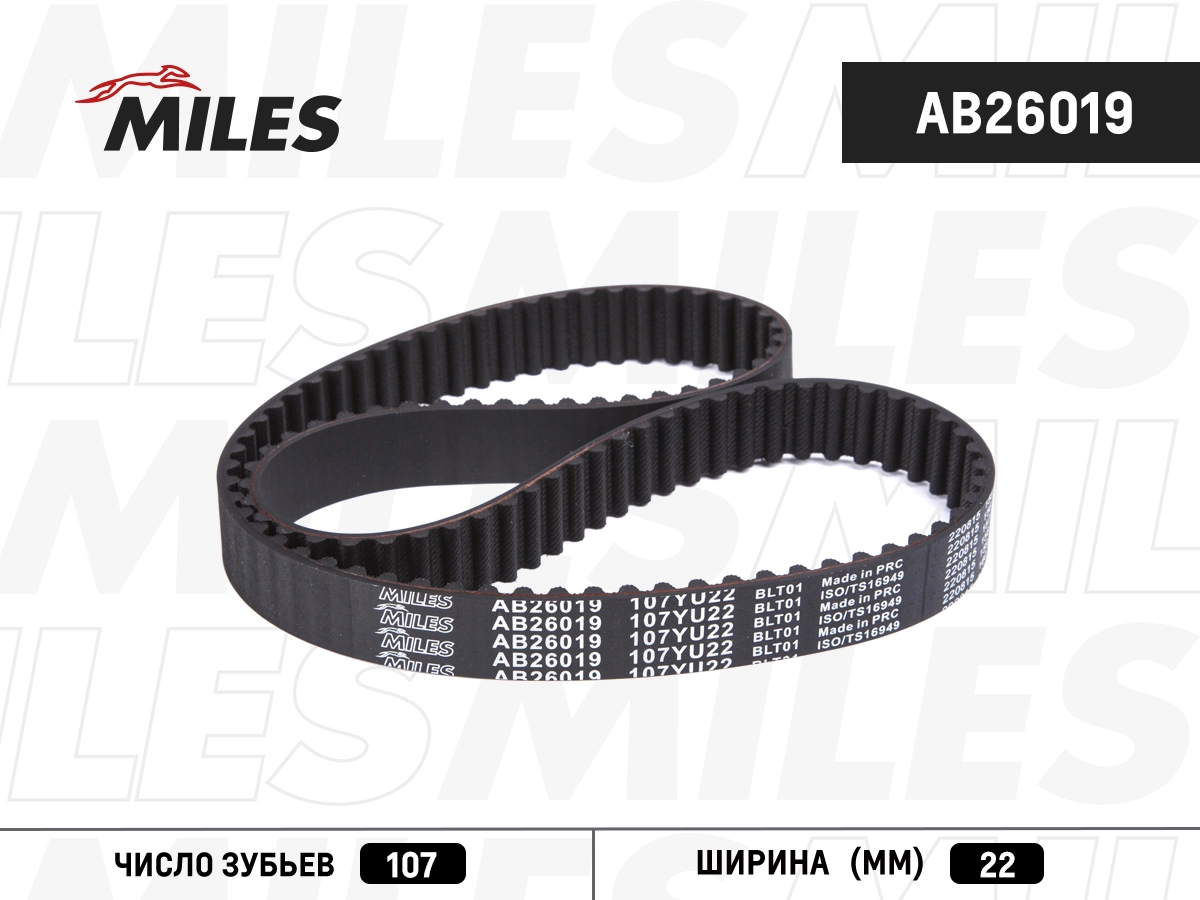 Timing Belt