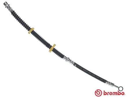 Flexible de frein BREMBO T 44 031