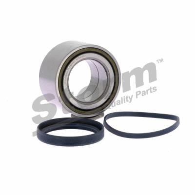STORM QUALITY PARTS 491008