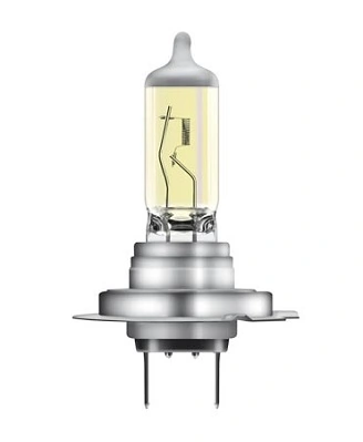 Bulb, spotlight