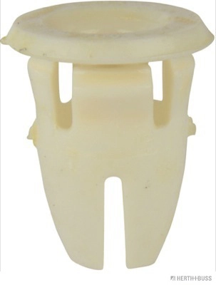 Clip, trim/protection strip