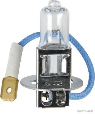 Bulb, worklight