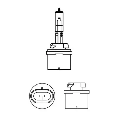 Bulb, front fog light