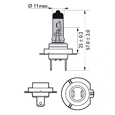Bulb, spotlight