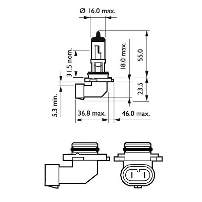 Bulb, front fog light