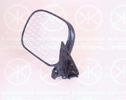 Exterior Mirror
