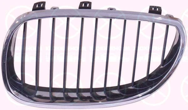 Radiator Grille