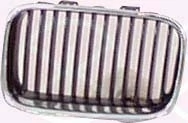 Radiator Grille