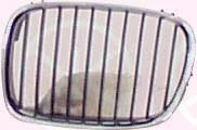 Radiator Grille