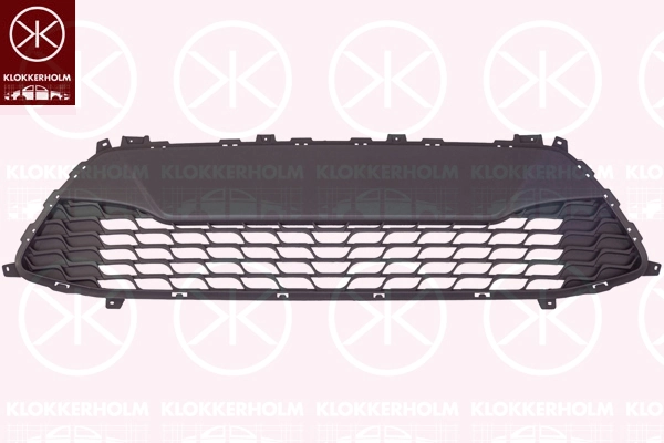 Radiator Grille