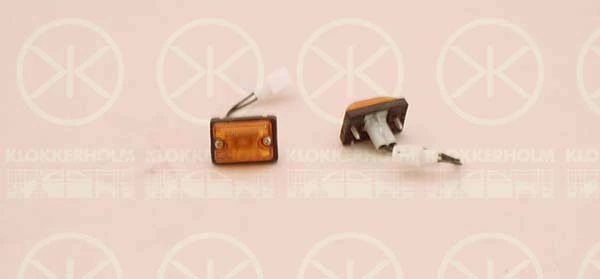 Direction Indicator