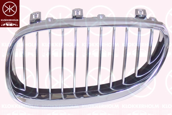 Radiator Grille