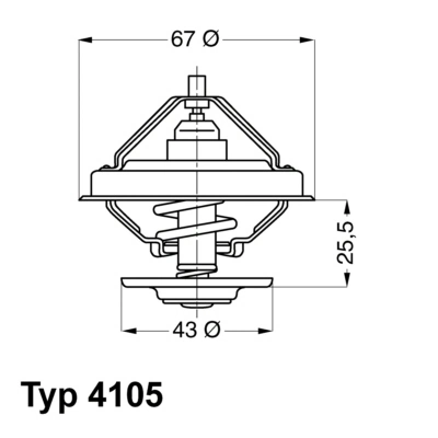 BORGWARNER (WAHLER) 4105.79D — Термостат