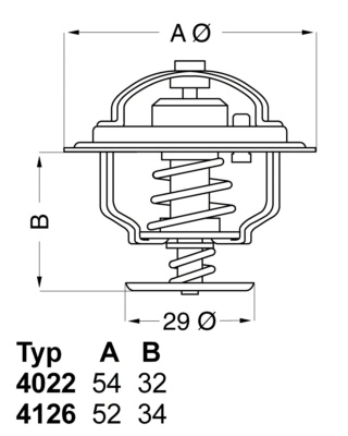 Thermostat d'eau