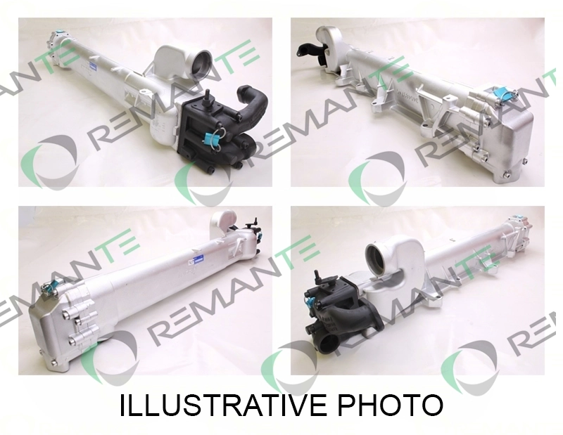 EGR Module