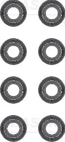 Seal Set, valve stem