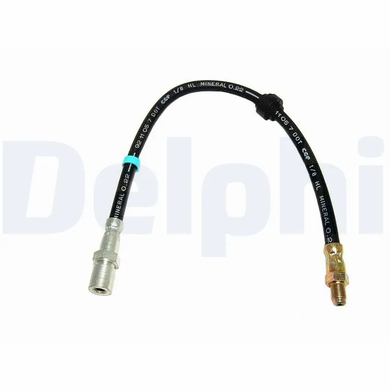 Flexible de frein DELPHI LH2819