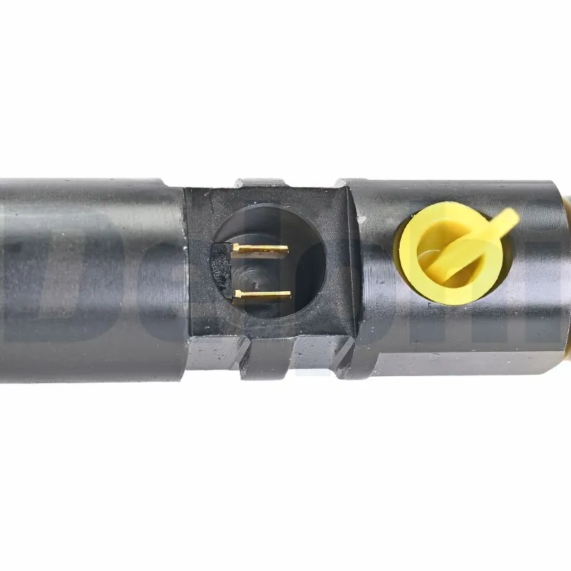 Injecteur DELPHI R00501Z-12B1