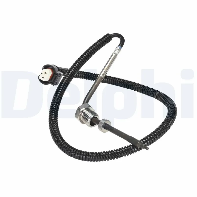 Capteur, température des gaz DELPHI TS30391-12B1