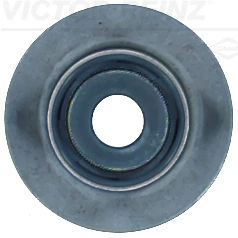 Seal Ring, valve stem