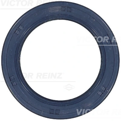 VICTOR REINZ 81-53243-00