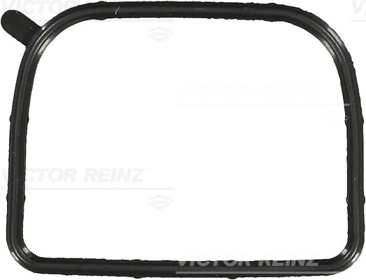 Gasket, intake manifold