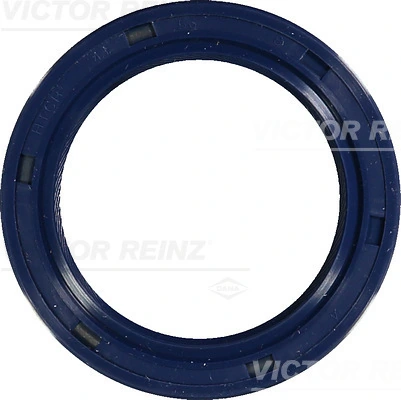 VICTOR REINZ 81-53774-00