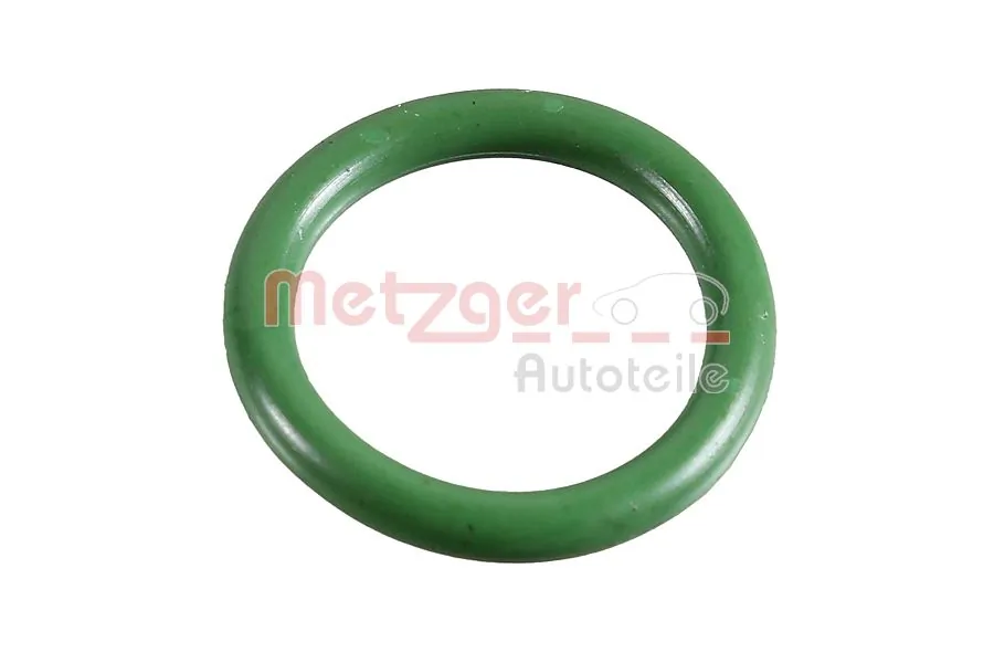Seal, pulse generator (crankshaft)