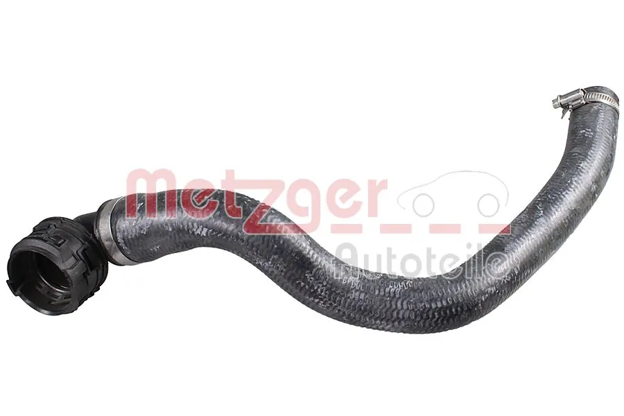 Radiator Hose