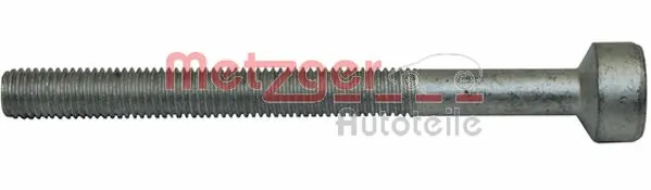 Screw, injection nozzle holder