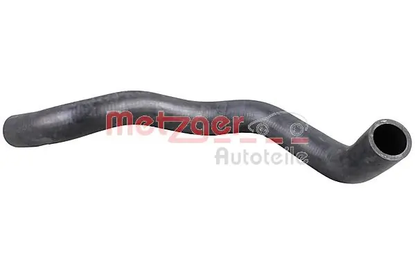 Radiator Hose
