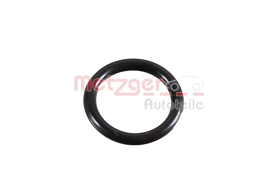 Seal Ring, water pump