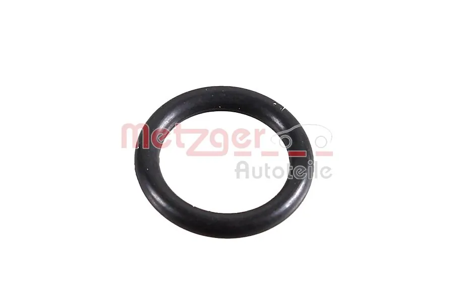 Seal Ring, charger
