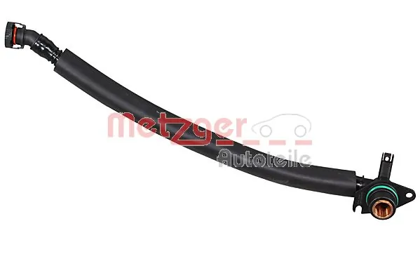 Hose, crankcase ventilation