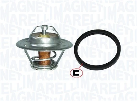 Thermostat d'eau