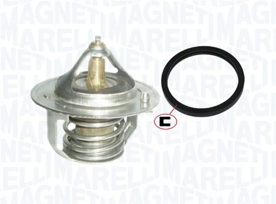 Thermostat d'eau