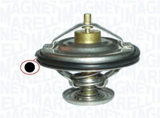 Thermostat d'eau
