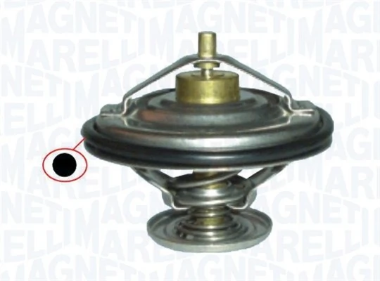 Thermostat d'eau