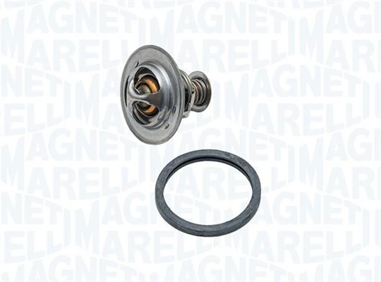 Thermostat d'eau