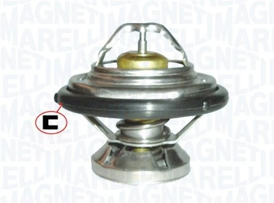 Thermostat d'eau