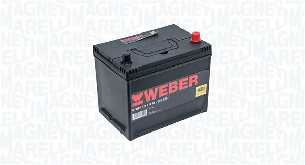 Starter Battery