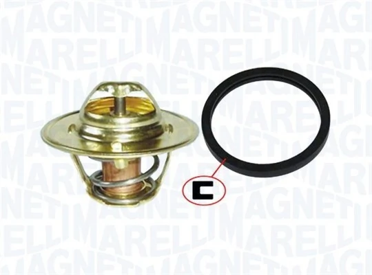 Thermostat d'eau