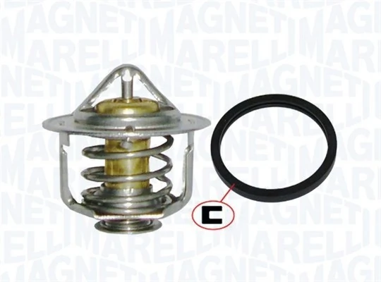 Thermostat d'eau