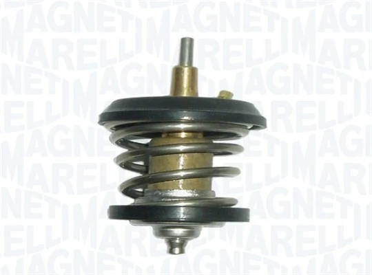 Thermostat d'eau