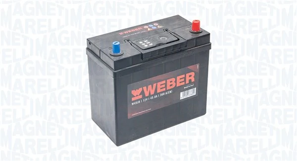 Starter Battery