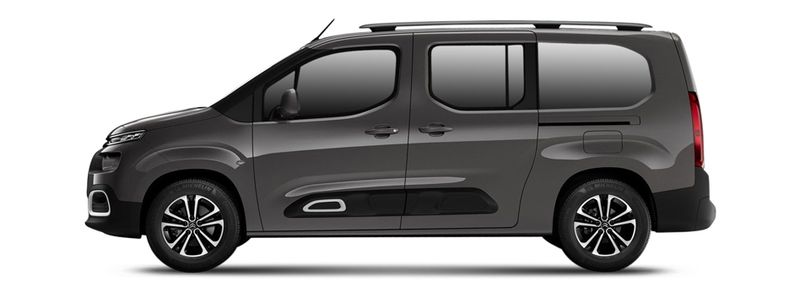 CITROËN BERLINGO / BERLINGO FIRST BOX BODY/MPV (M_)