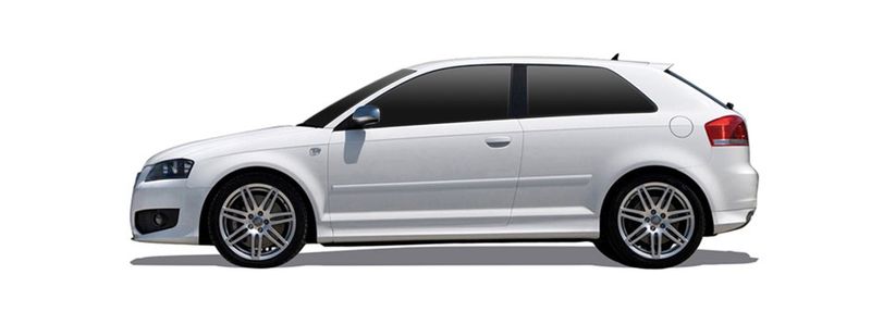 AUDI A3 (8P1)